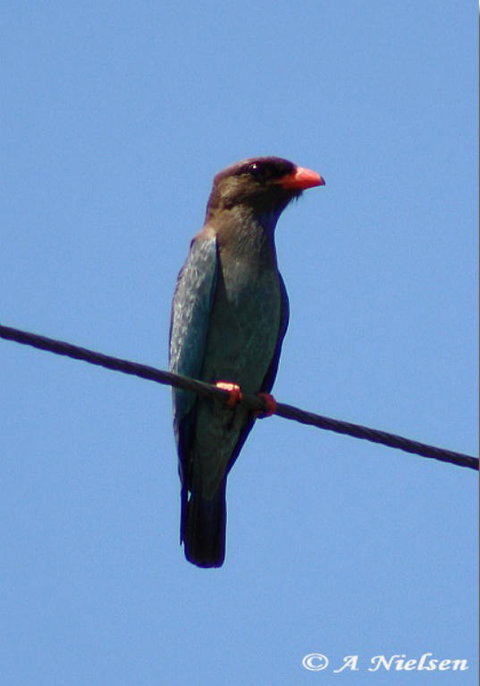 Cooloola Nature - Stayed 2