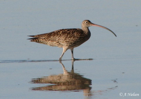 Cooloola Nature - Stayed 3