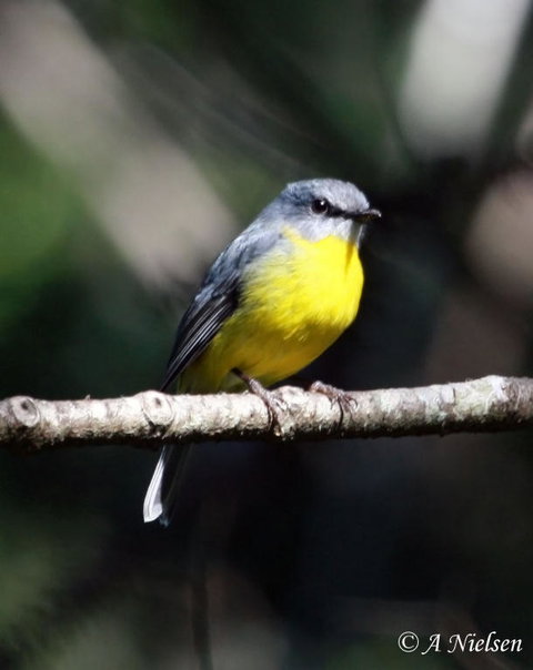 Cooloola Nature - Stayed 4