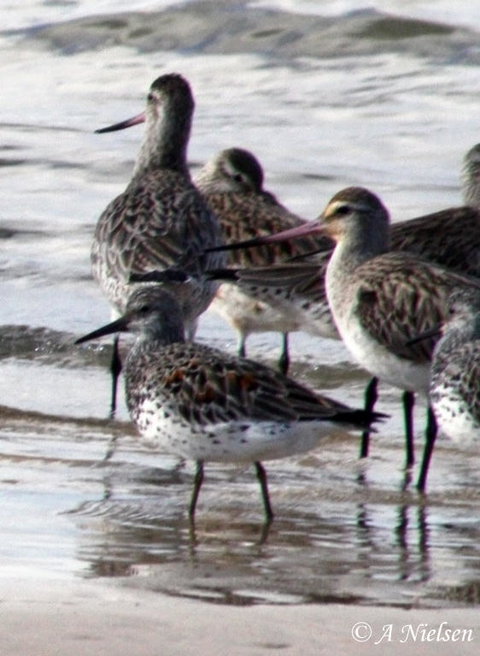 Cooloola Nature - Stayed 5