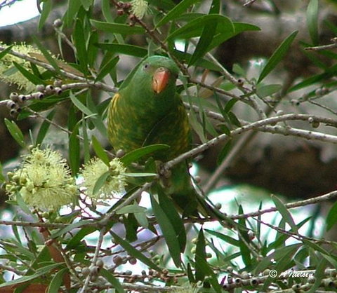 Cooloola Nature - Stayed 8
