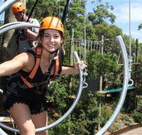 Wild Ropes at Taronga Zoo - Stayed