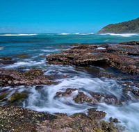 Wyrrabalong National Park - Stayed