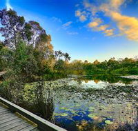 Berrinba Wetlands - Stayed