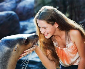 Sea Life Sunshine Coast - Stayed 1