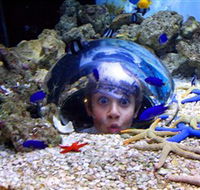 Sea Life Sunshine Coast - Stayed