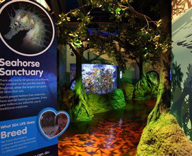 Sea Life Sunshine Coast - Stayed 3