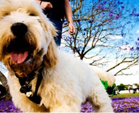 Tuckeroo Park - Stayed 0