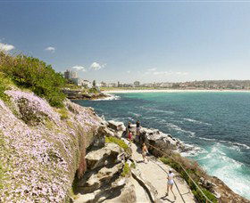 Bondi To Coogee Coastal Walk - Stayed 3