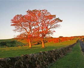 Saddleback Mountain Lookout - Stayed 2