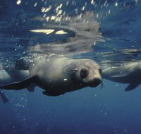 Wilsons Promontory Marine National Park - Stayed