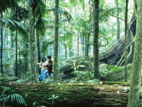 Binna Burra QLD Stayed