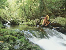 Dave's Creek Circuit - Stayed 0