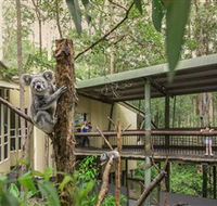 Daisy Hill Koala Centre - Stayed