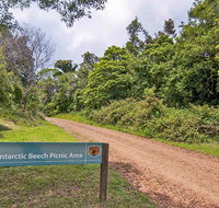 Antarctic Beech picnic area - Stayed