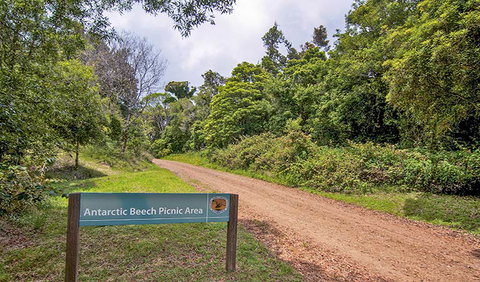 Antarctic Beech Picnic Area - Stayed 0