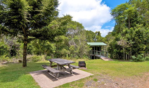 Antarctic Beech Picnic Area - Stayed 1