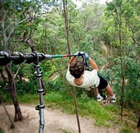 TreeTop Challenge - Stayed