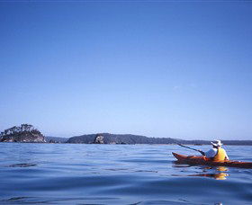 Kayaking Batemans Bay - Stayed 0