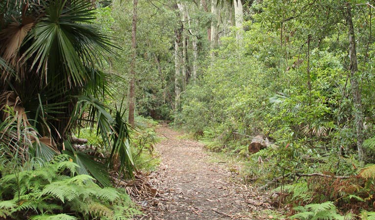East Lynne NSW Stayed