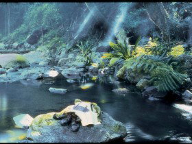 Coomera Circuit - Stays Accommodation 0