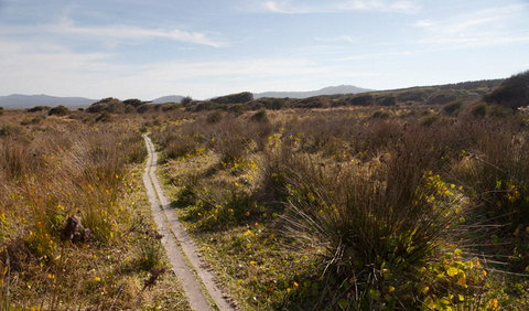 Murramarang Aboriginal Area Walking Track - Stayed 2