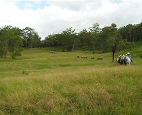 Numinbah Valley QLD Stays Accommodation