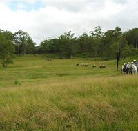 Numinbah Valley Adventure Trails - Stayed