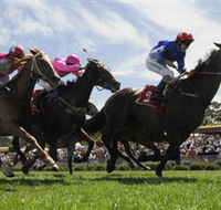 Moruya Racecourse - Stays Accommodation