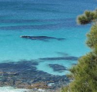 Jervis Bay Marine Park - Stayed