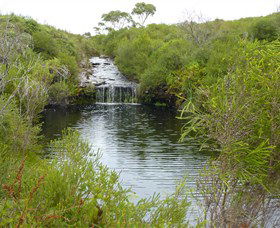 Booderee National Park: Green Patch And Telegraph Creek Walking Tracks - Stayed 0