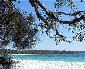 Booderee National Park: Green Patch And Telegraph Creek Walking Tracks - Stayed 6