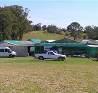 Tinonee Orchid Nursery - Stayed