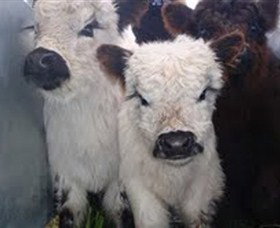 Honeycomb Valley Farm - Stayed 3