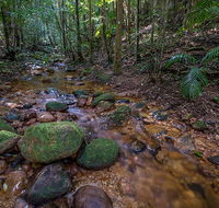 Starrs Creek picnic area - Stayed