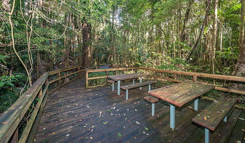 Starrs Creek Picnic Area - Stayed 1