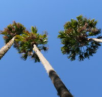 Bindarri National Park - Stayed