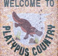 Cathcart Collectables - Stayed