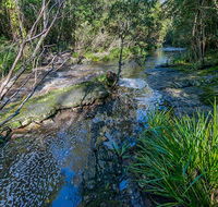 Dawson River walking track - Stayed