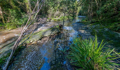 Dawson River Walking Track - Stayed 0