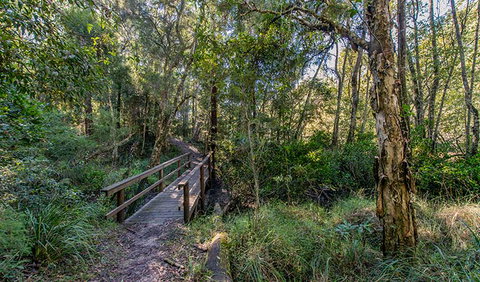 Dawson River Walking Track - Stayed 1
