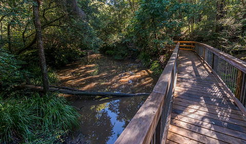 Ms Kellys Walking Track - Stayed 0