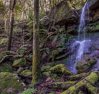 Coorabakh National Park - Stayed