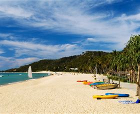 Tangalooma Dolphin Feeding - Stayed 2