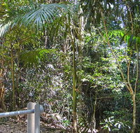 Goorgana walking track - Stayed