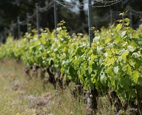 Barton Jones Wines - Stayed 2