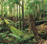 Wollumbin-Mount Warning National Park - Stayed