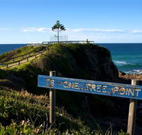 One Tree Point Lookout and Picnic Area - Stayed