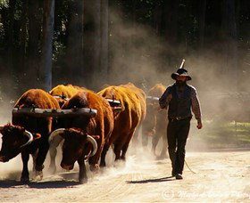 Timbertown Heritage Theme Park - Stayed 1