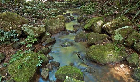 Whian Whian State Conservation Area - Stays Accommodation 3